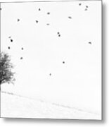 Twenty Seven Birds Metal Print