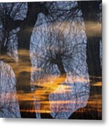 Twilight Zone In The Magic Forest Metal Print