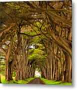 Twisted Point Reyes Cypress Tunnel Metal Print