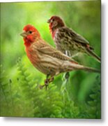 Two Little Finches Metal Print