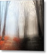 Two Worlds Metal Print
