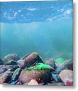 Underwater Scene - Upper Delaware River 6 Metal Print