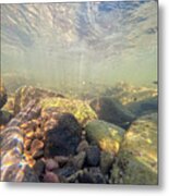 Underwater Scene - Upper Delaware River Metal Print