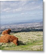 Up On The Hill Metal Print