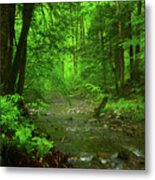 Upper Dunnfield Creek Spring Green And Rain Shine Metal Print