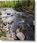 Upstate New York - Ten Mile River Narrowsburg Metal Print