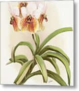 Vanda Sanderiana Orchid Metal Print