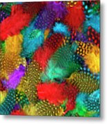 Various Color Feather Background Metal Print