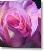 Velvet Rose Metal Print