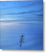 Verging Metal Print