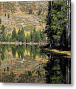 Vertical Reflections On String Lake Wyoming Metal Print