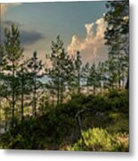 View From Dunes On The Beach Latvia Metal Print