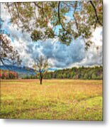 View From Sparks Lane At Cades Cove Townsend Tennessee Metal Print