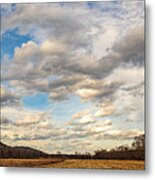 View Of The Mountains Metal Print