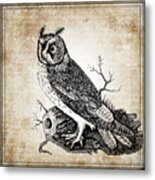 Vintage Owl Metal Print