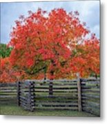 Vivid Colors Of Fall In The Hill Country Metal Print