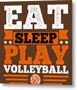Volleyball Gift Eat Sleep Play Volleyball Metal Print