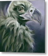 Vulture Portrait With Purple Metal Print