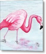 Wading Flamingo Metal Print