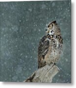 Waiting Out The Snowstorm Metal Print