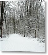 Walking A Winter Trail Metal Print