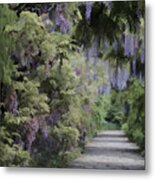 Walking Path Through Blooming Wisteria - Dwp4284677 Metal Print
