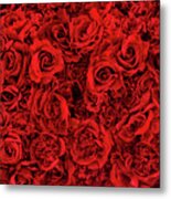 Wall Of Roses Metal Print