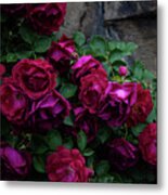 Wall Of Roses Metal Print