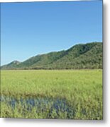 Wambuluna Wetlands Metal Print