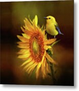 Warbler With Sunflower Metal Print