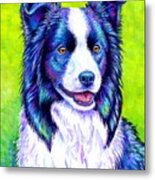 Watchful Eye - Colorful Border Collie Dog Metal Print