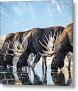 Water Hole Meeting Metal Print