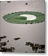 Water On Under And Around Metal Print