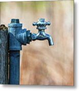 Autumn Water Spigot Metal Print