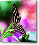 Watercolor Butterfly Metal Print