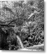 Waterfall In The Smoky Mountains Autumn Black And White Metal Print