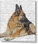 Way Too Cool, German Shepherd Dog - Brick Block Background Metal Print