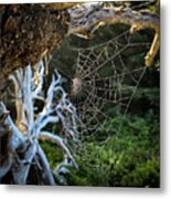 Web Of Intrigue Metal Print