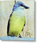 Western Kingbird Flycatcher Watercolor Painting Metal Print