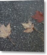 Wet Autumn Leaves In A Puddle Metal Print