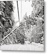 What The Snow Did Metal Print