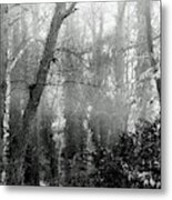 Whitby65 Floodplain Forest Metal Print