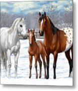 White Bay Appaloosa Horses In Snow Metal Print