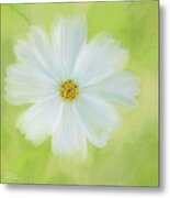 White Cosmos Dreams Ii Metal Print