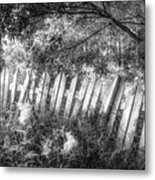 White Fences In The Summer In Black And White Metal Print