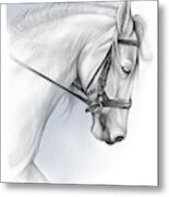 White Horse Metal Print