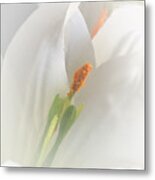 White Lily Metal Print