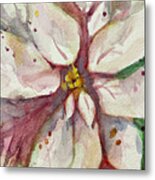 White Poinsettia Metal Print