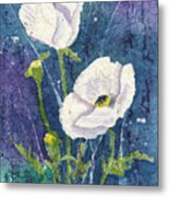 White Poppies In An Evening Garden Metal Print