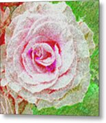 White Rose In Pink And Green Metal Print
